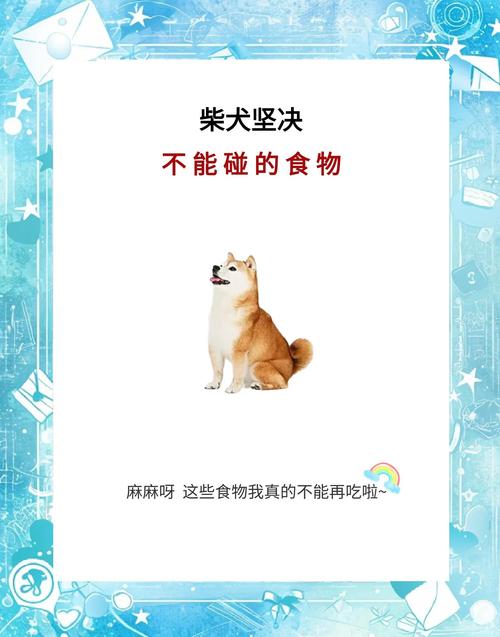 狗狗可以吃豆腐脑吗,小狗吃豆腐脑-第3张图片-后鲨宠物 狗狗可以吃豆腐脑吗,小狗吃豆腐脑-第3张图片-后鲨宠物