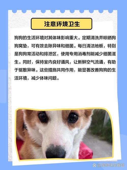 狗狗身上很臭怎么办,狗狗身上很臭怎么办小妙招-第1张图片-后鲨宠物 狗狗身上很臭怎么办,狗狗身上很臭怎么办小妙招-第1张图片-后鲨宠物