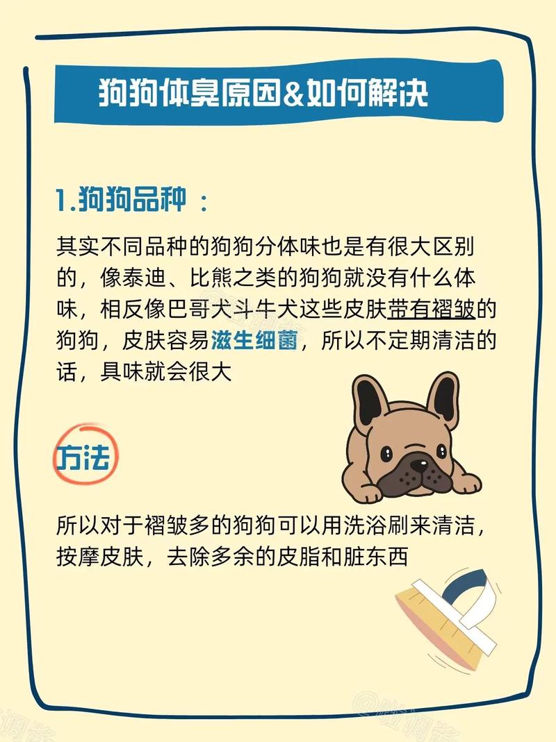 狗狗身上很臭怎么办,狗狗身上很臭怎么办小妙招-第3张图片-后鲨宠物 狗狗身上很臭怎么办,狗狗身上很臭怎么办小妙招-第3张图片-后鲨宠物