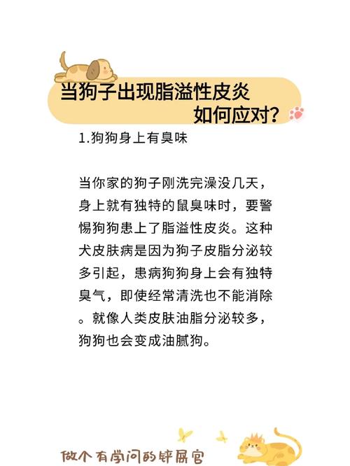 狗狗身上很臭怎么办,狗狗身上很臭怎么办小妙招-第6张图片-后鲨宠物 狗狗身上很臭怎么办,狗狗身上很臭怎么办小妙招-第6张图片-后鲨宠物