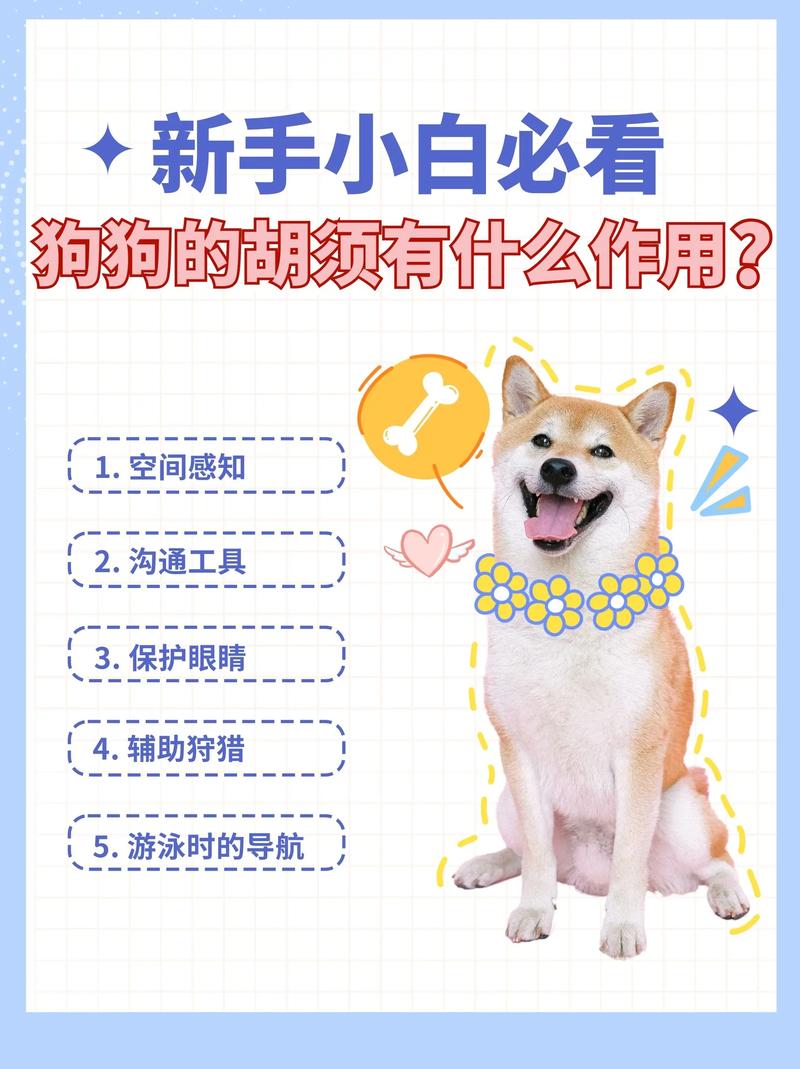  狗狗的胡子有什么用，狗的胡子起什么作用-第3张图片-后鲨宠物