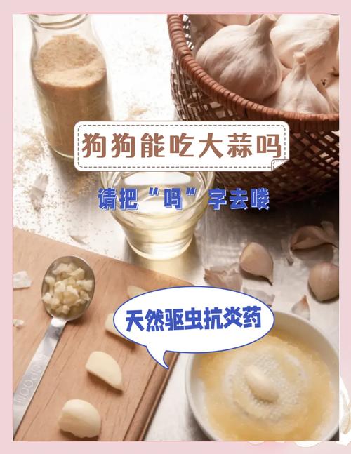  狗狗能吃大蒜吗，狗狗能吃大蒜吗为什么-第4张图片-后鲨宠物