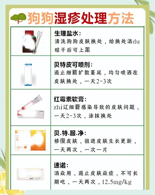 狗狗起湿疹用什么药膏,狗狗湿疹用什么药膏最有效-第1张图片-后鲨宠物 狗狗起湿疹用什么药膏,狗狗湿疹用什么药膏最有效-第1张图片-后鲨宠物