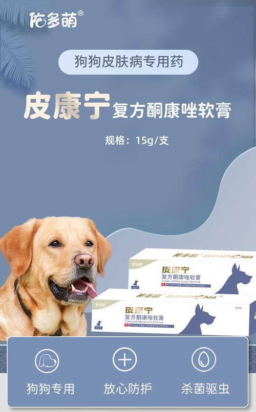 狗狗起湿疹用什么药膏,狗狗湿疹用什么药膏最有效-第5张图片-后鲨宠物 狗狗起湿疹用什么药膏,狗狗湿疹用什么药膏最有效-第5张图片-后鲨宠物