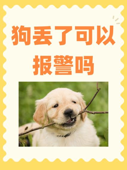 狗狗丢了可以报警吗_狗狗丢了可以报警吗查马路监控吗-第1张图片-后鲨宠物 狗狗丢了可以报警吗_狗狗丢了可以报警吗查马路监控吗-第1张图片-后鲨宠物