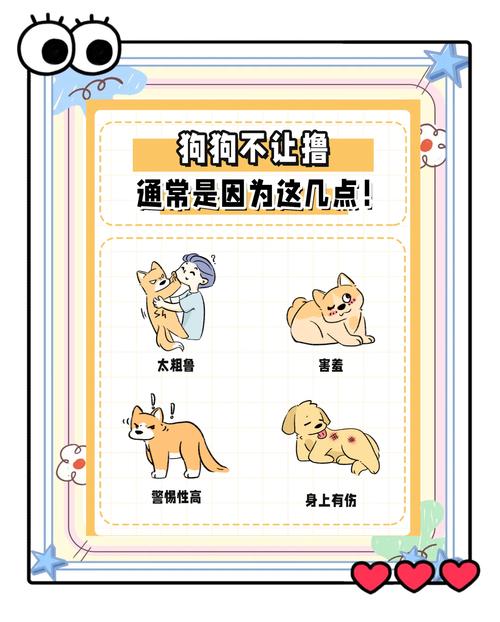 狗狗的鼻子可以摸吗_狗狗的鼻子能不能碰-第4张图片-后鲨宠物 狗狗的鼻子可以摸吗_狗狗的鼻子能不能碰-第4张图片-后鲨宠物