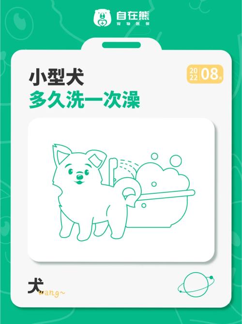 狗狗多久洗一次澡好,狗狗多长时间洗一次澡?-第6张图片-后鲨宠物 狗狗多久洗一次澡好,狗狗多长时间洗一次澡?-第6张图片-后鲨宠物