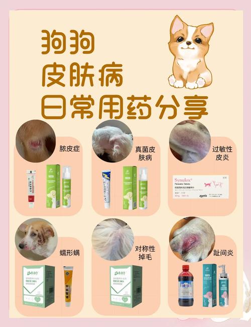 皮炎平可以给狗狗用吗_皮炎平对狗狗皮肤病有用嘛-第4张图片-后鲨宠物