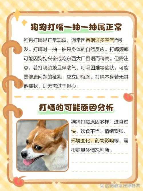 狗狗打嗝怎么办_狗狗打嗝怎么办啊-第3张图片-后鲨宠物 狗狗打嗝怎么办_狗狗打嗝怎么办啊-第3张图片-后鲨宠物