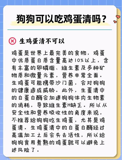 狗狗可以喝鸡蛋汤吗_狗狗可以喝鸡蛋羹吗-第1张图片-后鲨宠物 狗狗可以喝鸡蛋汤吗_狗狗可以喝鸡蛋羹吗-第1张图片-后鲨宠物