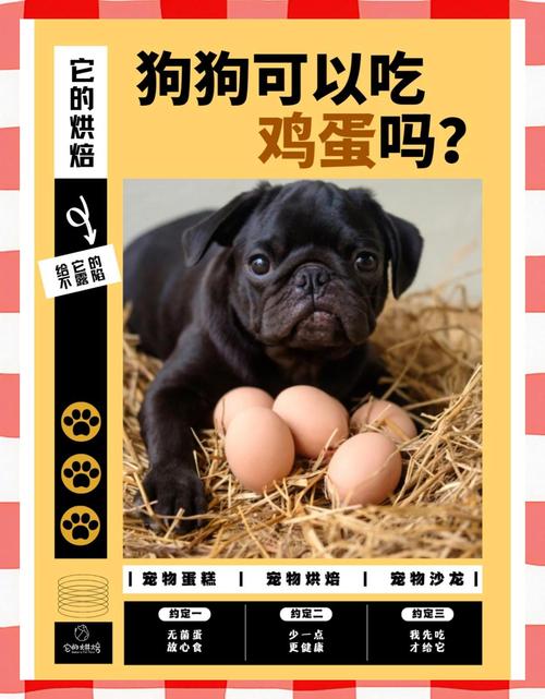 狗狗可以喝鸡蛋汤吗_狗狗可以喝鸡蛋羹吗-第2张图片-后鲨宠物 狗狗可以喝鸡蛋汤吗_狗狗可以喝鸡蛋羹吗-第2张图片-后鲨宠物
