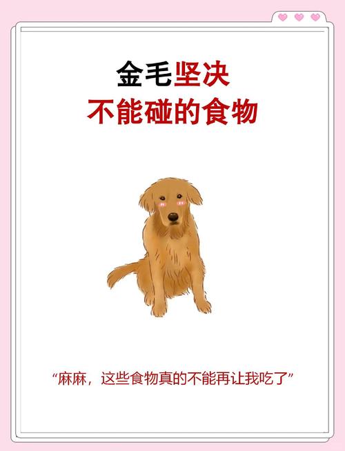 狗狗可以喝鸡蛋汤吗_狗狗可以喝鸡蛋羹吗-第4张图片-后鲨宠物 狗狗可以喝鸡蛋汤吗_狗狗可以喝鸡蛋羹吗-第4张图片-后鲨宠物