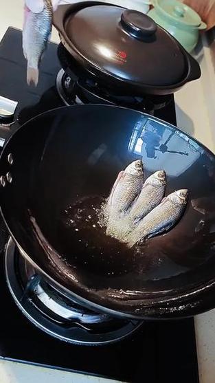 猫咪能吃鲫鱼吗_猫能吃鲫鱼嘛-第5张图片-后鲨宠物 猫咪能吃鲫鱼吗_猫能吃鲫鱼嘛-第5张图片-后鲨宠物