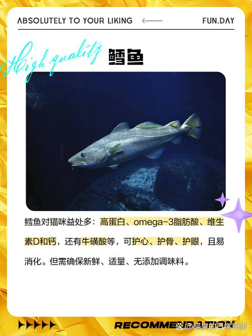 猫咪能吃鲫鱼吗_猫能吃鲫鱼嘛-第6张图片-后鲨宠物 猫咪能吃鲫鱼吗_猫能吃鲫鱼嘛-第6张图片-后鲨宠物