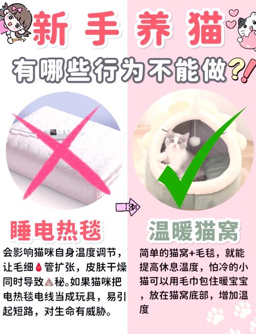 猫咪可以戴铃铛吗_可不可以给猫咪戴铃铛-第3张图片-后鲨宠物 猫咪可以戴铃铛吗_可不可以给猫咪戴铃铛-第3张图片-后鲨宠物