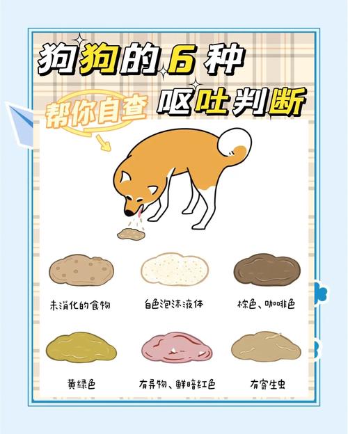 狗狗反胃呕吐怎么办,狗狗反胃想吐-第2张图片-后鲨宠物 狗狗反胃呕吐怎么办,狗狗反胃想吐-第2张图片-后鲨宠物