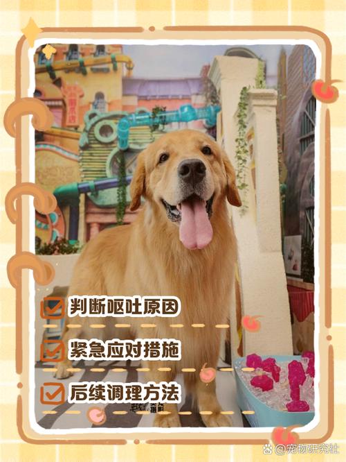 狗狗反胃呕吐怎么办,狗狗反胃想吐-第5张图片-后鲨宠物 狗狗反胃呕吐怎么办,狗狗反胃想吐-第5张图片-后鲨宠物