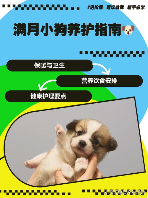 狗狗满月是多少天,狗狗满月是几天-第2张图片-后鲨宠物 狗狗满月是多少天,狗狗满月是几天-第2张图片-后鲨宠物