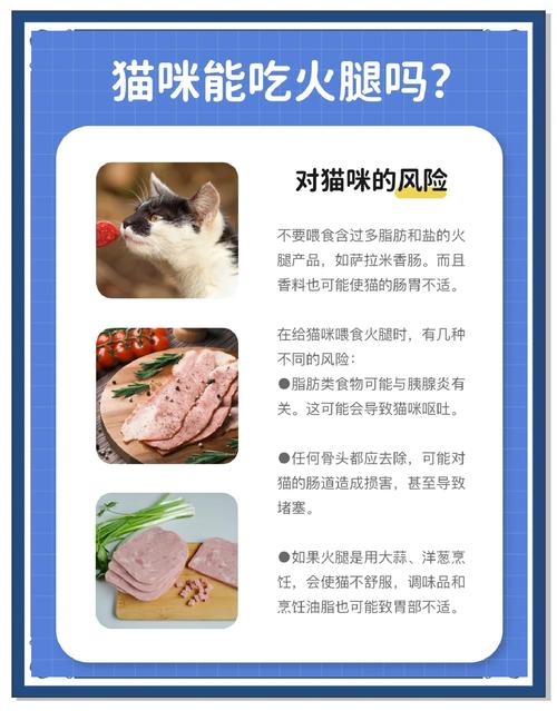猫咪能吃香肠吗,遇见流浪猫可以喂什么-第1张图片-后鲨宠物 猫咪能吃香肠吗,遇见流浪猫可以喂什么-第1张图片-后鲨宠物