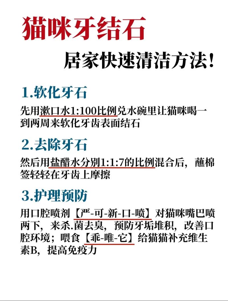 猫咪牙结石怎么去除，猫咪牙结石去除神器？-第2张图片-后鲨宠物