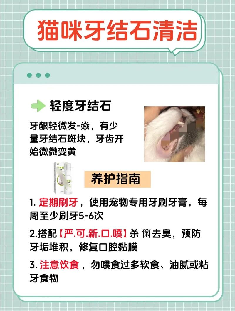 猫咪牙结石怎么去除，猫咪牙结石去除神器？-第4张图片-后鲨宠物