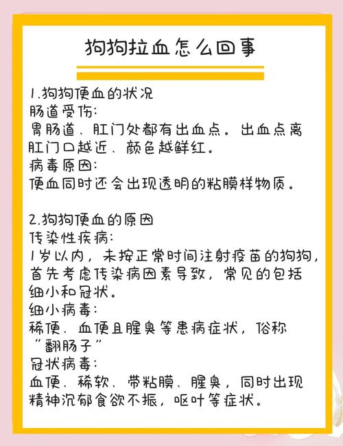 狗狗拉血便怎么回事，狗狗拉血便怎么回事吃什么药-第2张图片-后鲨宠物