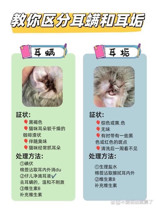 猫咪耳螨怎么引起的_猫咪耳螨引起的脑炎怎么治疗-第3张图片-后鲨宠物 猫咪耳螨怎么引起的_猫咪耳螨引起的脑炎怎么治疗-第3张图片-后鲨宠物