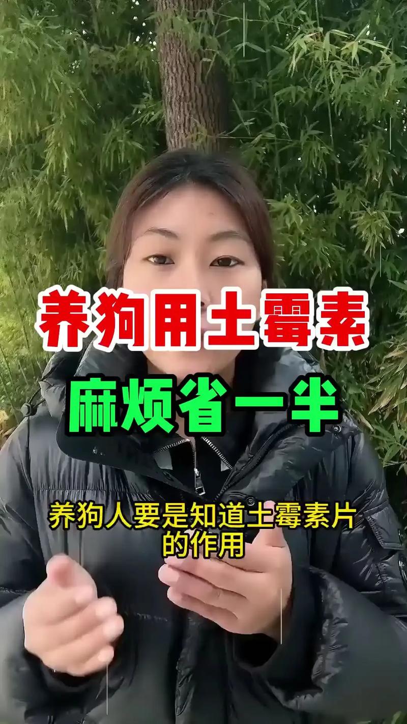 土霉素狗狗能吃吗,土霉素狗狗能吃吗,吃多少-第5张图片-后鲨宠物 土霉素狗狗能吃吗,土霉素狗狗能吃吗,吃多少-第5张图片-后鲨宠物