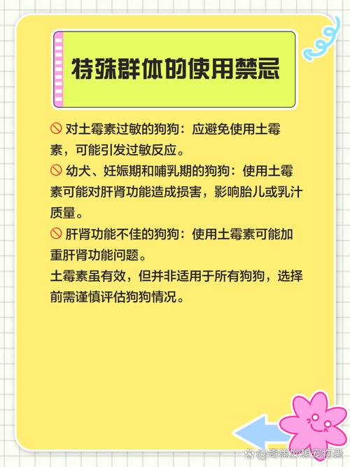 土霉素狗狗能吃吗,土霉素狗狗能吃吗,吃多少-第4张图片-后鲨宠物 土霉素狗狗能吃吗,土霉素狗狗能吃吗,吃多少-第4张图片-后鲨宠物