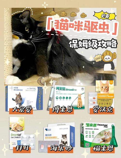 猫咪怀孕能驱虫吗,养猫的人都有弓形虫?-第3张图片-后鲨宠物 猫咪怀孕能驱虫吗,养猫的人都有弓形虫?-第3张图片-后鲨宠物