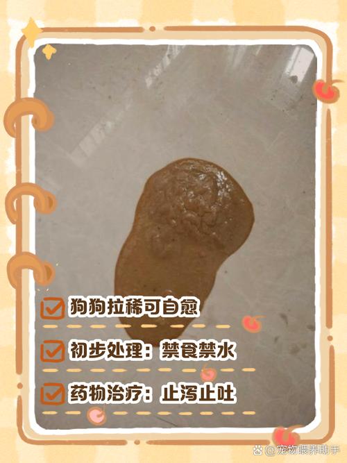 狗狗拉稀几天能好，狗狗拉稀后几天不排便？-第6张图片-后鲨宠物