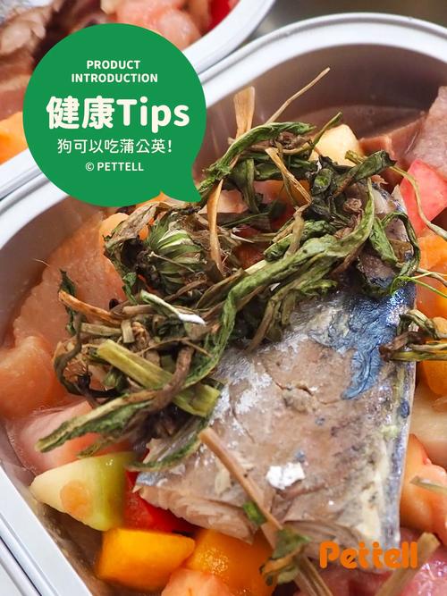 狗狗能喝蒲公英水吗_宠物能喝蒲公英水吗-第3张图片-后鲨宠物 狗狗能喝蒲公英水吗_宠物能喝蒲公英水吗-第3张图片-后鲨宠物