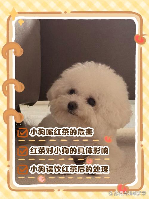 狗狗能喝蒲公英水吗_宠物能喝蒲公英水吗-第4张图片-后鲨宠物 狗狗能喝蒲公英水吗_宠物能喝蒲公英水吗-第4张图片-后鲨宠物