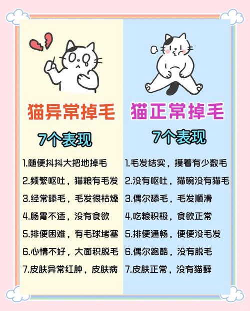 猫咪总是掉毛怎么办,猫总爱掉毛怎么办-第1张图片-后鲨宠物 猫咪总是掉毛怎么办,猫总爱掉毛怎么办-第1张图片-后鲨宠物