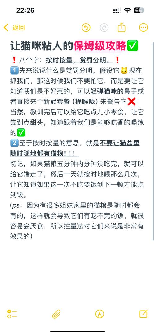 猫咪不粘人怎么办，猫咪不太粘人？-第3张图片-后鲨宠物