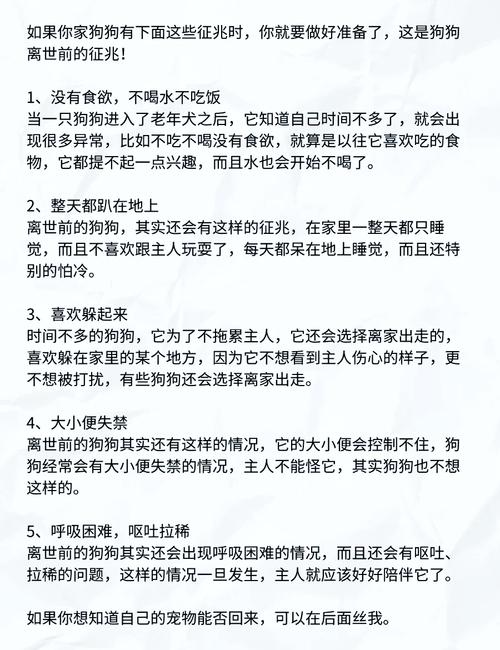 狗狗不见了意味着什么,狗不见了预示什么意思?-第1张图片-后鲨宠物 狗狗不见了意味着什么,狗不见了预示什么意思?-第1张图片-后鲨宠物