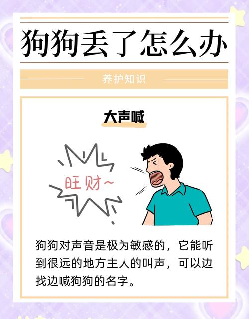 狗狗不见了意味着什么,狗不见了预示什么意思?-第5张图片-后鲨宠物 狗狗不见了意味着什么,狗不见了预示什么意思?-第5张图片-后鲨宠物