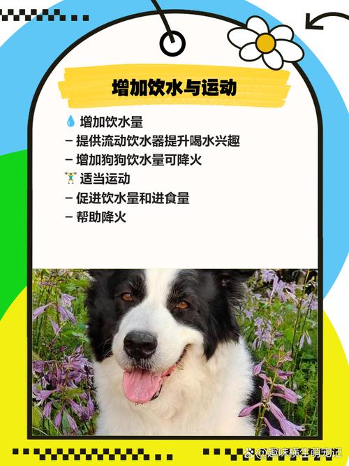 火车上可以带狗狗吗，火车上可以带狗狗吗?？