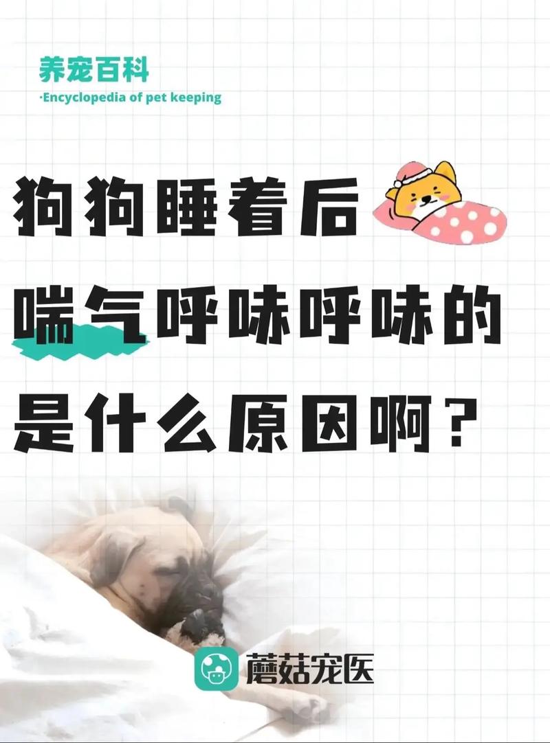 狗狗产前阵痛多久会生,狗狗产前宫缩的症状-第2张图片-后鲨宠物 狗狗产前阵痛多久会生,狗狗产前宫缩的症状-第2张图片-后鲨宠物