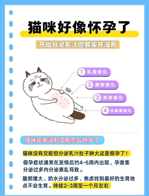 猫咪假孕什么症状_猫咪假孕的症状-第2张图片-后鲨宠物 猫咪假孕什么症状_猫咪假孕的症状-第2张图片-后鲨宠物