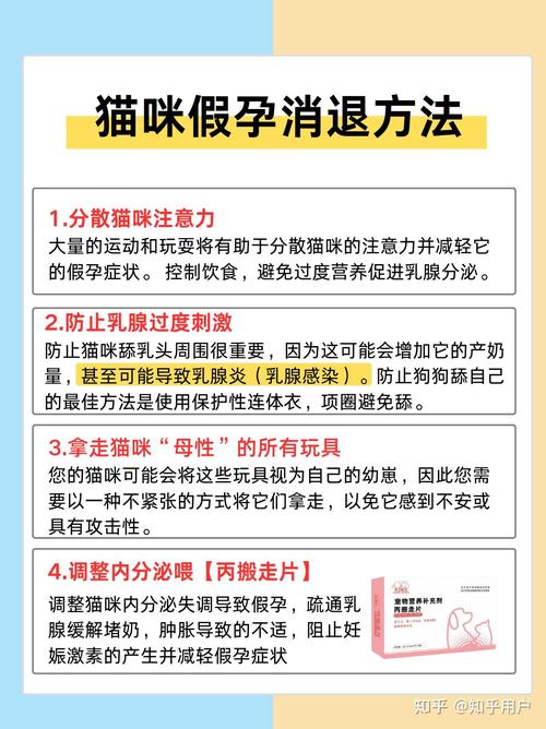 猫咪假孕什么症状_猫咪假孕的症状-第3张图片-后鲨宠物 猫咪假孕什么症状_猫咪假孕的症状-第3张图片-后鲨宠物