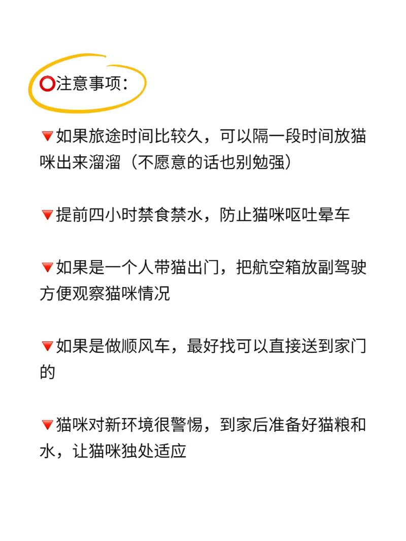 猫咪能带出去玩吗,猫咪能带着出去旅行吗?-第2张图片-后鲨宠物 猫咪能带出去玩吗,猫咪能带着出去旅行吗?-第2张图片-后鲨宠物