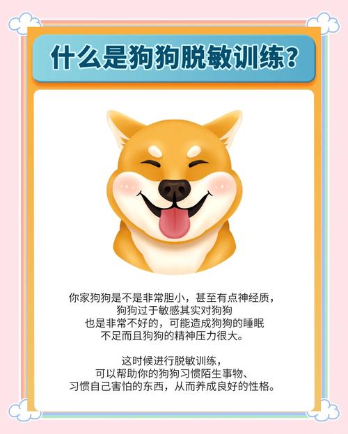 狗狗很胆小怎么办_狗狗非常胆小怎么办-第2张图片-后鲨宠物