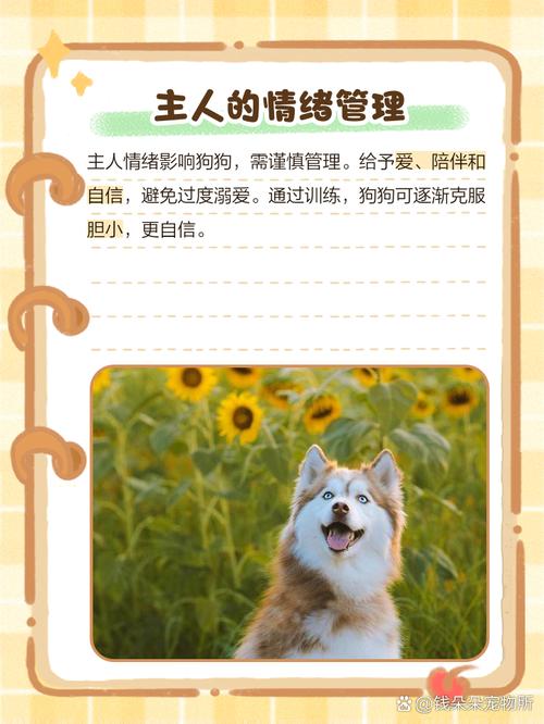 狗狗很胆小怎么办_狗狗非常胆小怎么办-第4张图片-后鲨宠物