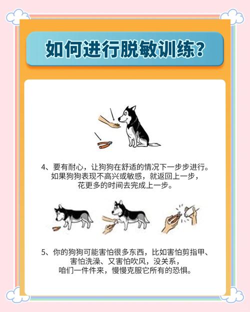 狗狗很胆小怎么办_狗狗非常胆小怎么办-第5张图片-后鲨宠物