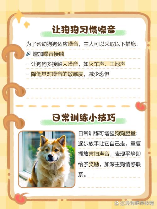 狗狗很胆小怎么办_狗狗非常胆小怎么办-第6张图片-后鲨宠物