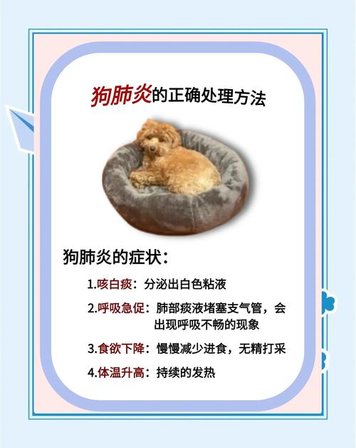 狗狗咳嗽是什么样的_狗狗咳嗽表现-第2张图片-后鲨宠物 狗狗咳嗽是什么样的_狗狗咳嗽表现-第2张图片-后鲨宠物