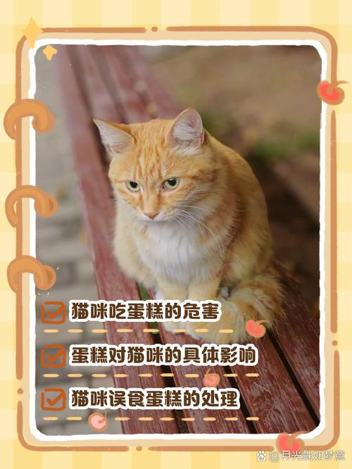猫咪能吃奶油蛋糕吗,猫咪能吃奶油蛋糕吗为什么-第6张图片-后鲨宠物 猫咪能吃奶油蛋糕吗,猫咪能吃奶油蛋糕吗为什么-第6张图片-后鲨宠物