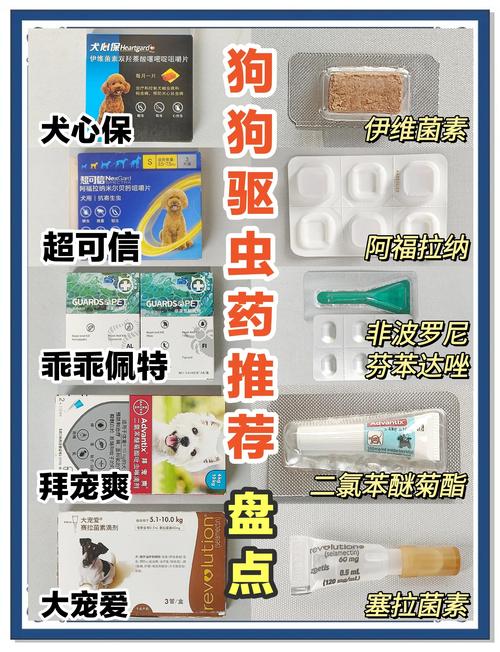狗狗驱虫药哪个好,狗狗驱虫药物推荐?-第5张图片-后鲨宠物 狗狗驱虫药哪个好,狗狗驱虫药物推荐?-第5张图片-后鲨宠物