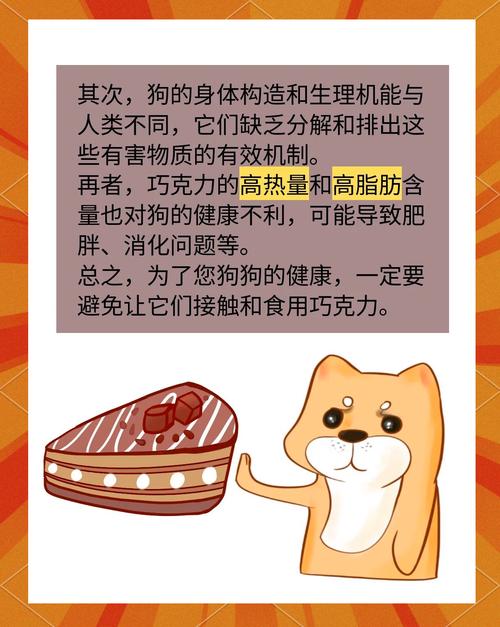 狗狗不能吃巧克力吗_狗狗不能吃巧克力是真的吗?-第2张图片-后鲨宠物 狗狗不能吃巧克力吗_狗狗不能吃巧克力是真的吗?-第2张图片-后鲨宠物
